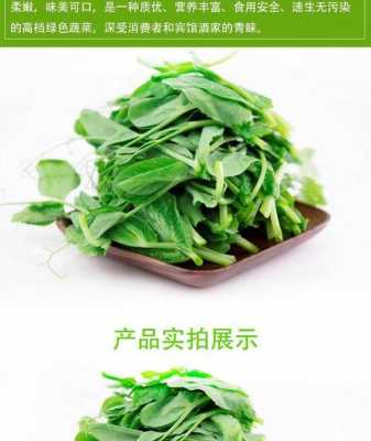 豆苗菜是哪里的(豆苗是甚么豆发的)-第3张图片-厨房小当家 豆苗菜是哪里的(豆苗是甚么豆发的)-第3张图片-厨房小当家