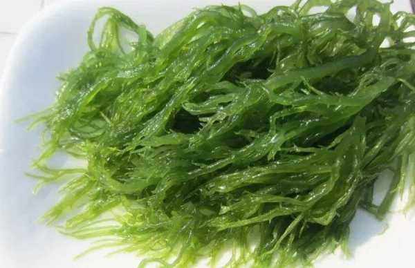 散装海藻买哪里的好,哪里有食用海藻卖啊-第3张图片-厨房小当家 散装海藻买哪里的好,哪里有食用海藻卖啊-第3张图片-厨房小当家