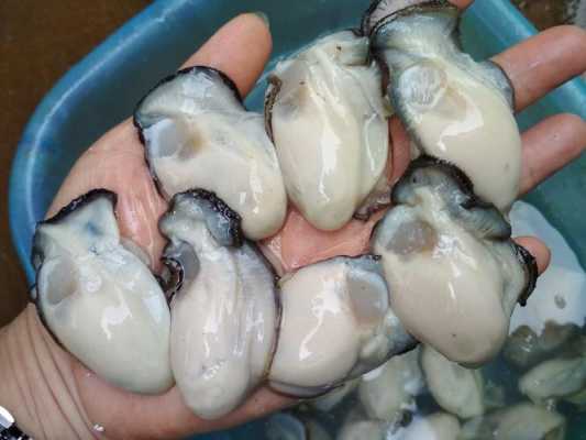 生蚝肉是哪里(生蚝是肉,在广东为什么被当斋菜)-第2张图片-厨房小当家 生蚝肉是哪里(生蚝是肉,在广东为什么被当斋菜)-第2张图片-厨房小当家