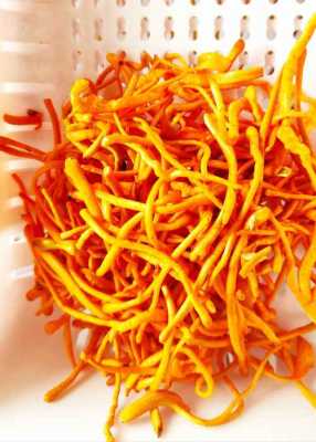 虫草花哪里的好(虫草花哪里的好吃)-第1张图片-厨房小当家 虫草花哪里的好(虫草花哪里的好吃)-第1张图片-厨房小当家