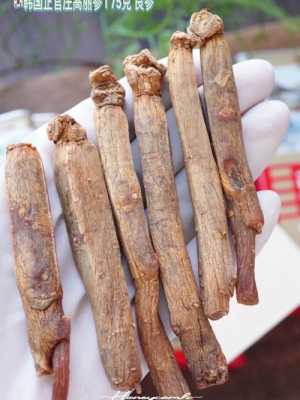 高丽参哪里的好(高丽参哪里的好最正宗)-第3张图片-厨房小当家 高丽参哪里的好(高丽参哪里的好最正宗)-第3张图片-厨房小当家