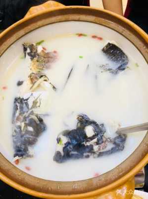 千岛湖浓汤鱼头做法,千岛湖哪里吃鱼头正宗-第2张图片-厨房小当家 千岛湖浓汤鱼头做法,千岛湖哪里吃鱼头正宗-第2张图片-厨房小当家
