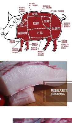 肥膘肉是哪里的肉(肥肉膘叫什么)-第1张图片-厨房小当家 肥膘肉是哪里的肉(肥肉膘叫什么)-第1张图片-厨房小当家
