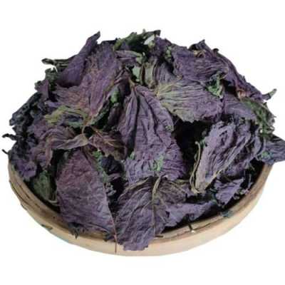 紫苏哪里的好(上海没有紫苏吗)-第1张图片-厨房小当家 紫苏哪里的好(上海没有紫苏吗)-第1张图片-厨房小当家