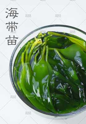 哪里有海带苗(哪里有海带苗卖)-第3张图片-厨房小当家 哪里有海带苗(哪里有海带苗卖)-第3张图片-厨房小当家
