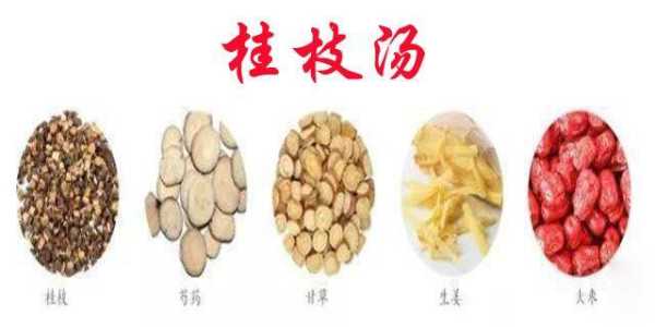 桂枝哪里的好（桂枝哪里的好吃）-第2张图片-厨房小当家
