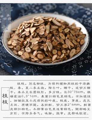桂枝哪里的好（桂枝哪里的好吃）-第3张图片-厨房小当家