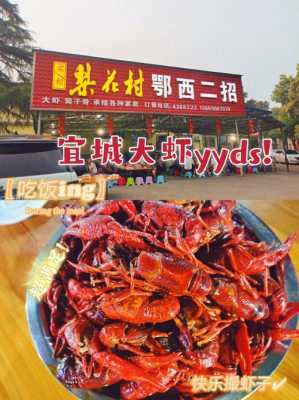 宜城哪里吃虾子(宜城吃虾子的地方)-第1张图片-厨房小当家 宜城哪里吃虾子(宜城吃虾子的地方)-第1张图片-厨房小当家