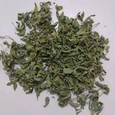 香苜蓿哪里有(香苜蓿是什么香料)-第3张图片-厨房小当家 香苜蓿哪里有(香苜蓿是什么香料)-第3张图片-厨房小当家