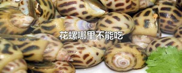 花螺哪里能吃(花螺哪里能吃哪里不能吃)-第1张图片-厨房小当家 花螺哪里能吃(花螺哪里能吃哪里不能吃)-第1张图片-厨房小当家