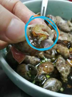 花螺哪里能吃(花螺哪里能吃哪里不能吃)-第2张图片-厨房小当家 花螺哪里能吃(花螺哪里能吃哪里不能吃)-第2张图片-厨房小当家