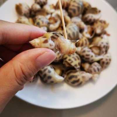 花螺哪里能吃(花螺哪里能吃哪里不能吃)-第3张图片-厨房小当家 花螺哪里能吃(花螺哪里能吃哪里不能吃)-第3张图片-厨房小当家