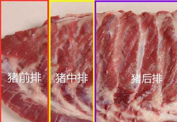 排骨中排是哪里(排骨中排是哪个部位)-第1张图片-厨房小当家 排骨中排是哪里(排骨中排是哪个部位)-第1张图片-厨房小当家