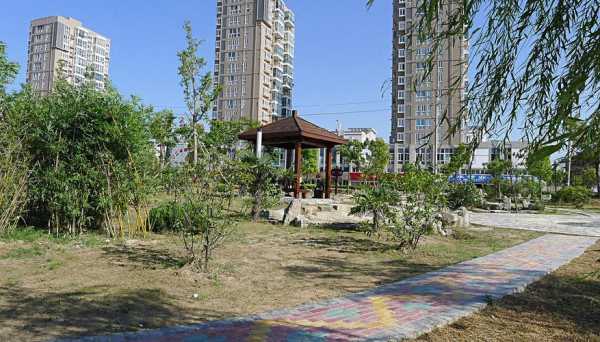 阜宁欢乐牧场怎么样(江苏东北部是哪些城市)-第2张图片-厨房小当家 阜宁欢乐牧场怎么样(江苏东北部是哪些城市)-第2张图片-厨房小当家
