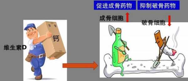 骨头哪里最有营养(骨头哪里最有营养价值)-第3张图片-厨房小当家 骨头哪里最有营养(骨头哪里最有营养价值)-第3张图片-厨房小当家
