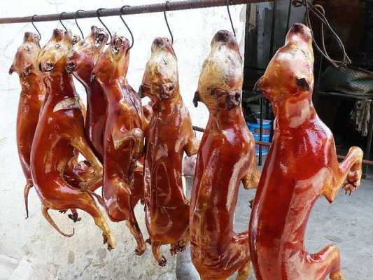 南宁有狗肉吃吗,南宁哪里有狗肉吃的-第1张图片-厨房小当家