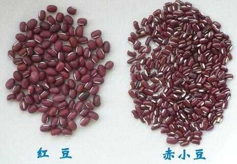 哪里红小豆最好,哪里的红小豆好吃-第2张图片-厨房小当家 哪里红小豆最好,哪里的红小豆好吃-第2张图片-厨房小当家