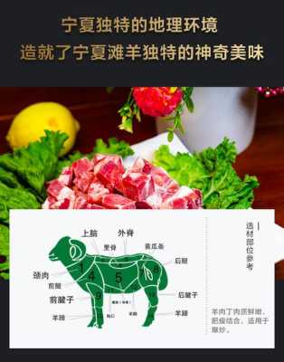 羊身上哪里肉好吃(羊身上的肉哪个地方最嫩)-第2张图片-厨房小当家 羊身上哪里肉好吃(羊身上的肉哪个地方最嫩)-第2张图片-厨房小当家