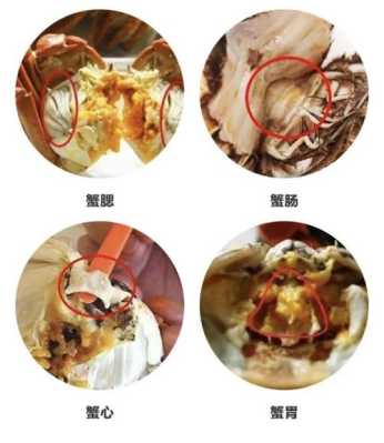 螃蟹蟹心在哪里(螃蟹的胃和心在什么位置)-第2张图片-厨房小当家 螃蟹蟹心在哪里(螃蟹的胃和心在什么位置)-第2张图片-厨房小当家