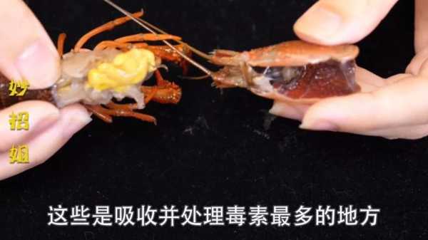 小龙虾虾尾里面黑色的线是肠子吗,虾尾线是什么-第3张图片-厨房小当家 小龙虾虾尾里面黑色的线是肠子吗,虾尾线是什么-第3张图片-厨房小当家