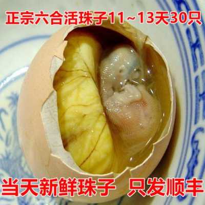 南京活珠子哪里卖(南京六合一盒活珠子多少钱)-第2张图片-厨房小当家 南京活珠子哪里卖(南京六合一盒活珠子多少钱)-第2张图片-厨房小当家