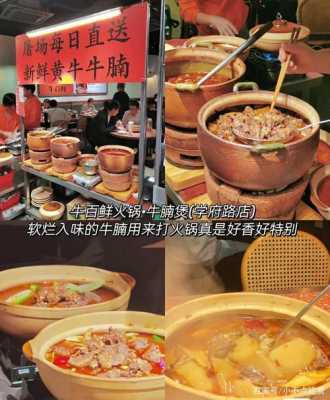 南山哪里有好吃的(南山有什么好吃的)-第2张图片-厨房小当家 南山哪里有好吃的(南山有什么好吃的)-第2张图片-厨房小当家
