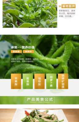 非洲冰草哪里有卖(非洲冰草哪里有卖的)-第3张图片-厨房小当家 非洲冰草哪里有卖(非洲冰草哪里有卖的)-第3张图片-厨房小当家