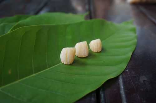 瑶柱是哪里来的(瑶柱是哪里来的植物)-第3张图片-厨房小当家 瑶柱是哪里来的(瑶柱是哪里来的植物)-第3张图片-厨房小当家