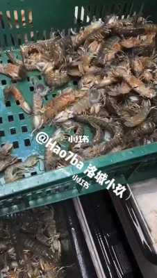 上海哪里卖皮皮虾(上海哪个海鲜市场有卖皮皮虾)-第1张图片-厨房小当家 上海哪里卖皮皮虾(上海哪个海鲜市场有卖皮皮虾)-第1张图片-厨房小当家