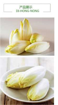 玉兰菜哪里有卖的(玉兰菜哪里有卖的啊)-第1张图片-厨房小当家 玉兰菜哪里有卖的(玉兰菜哪里有卖的啊)-第1张图片-厨房小当家