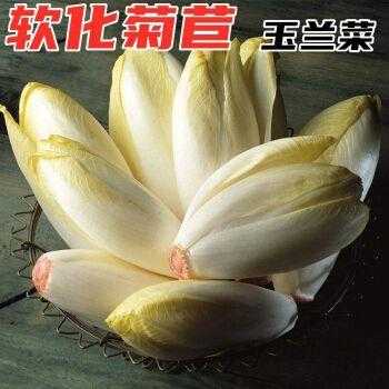 玉兰菜哪里有卖的(玉兰菜哪里有卖的啊)-第2张图片-厨房小当家 玉兰菜哪里有卖的(玉兰菜哪里有卖的啊)-第2张图片-厨房小当家