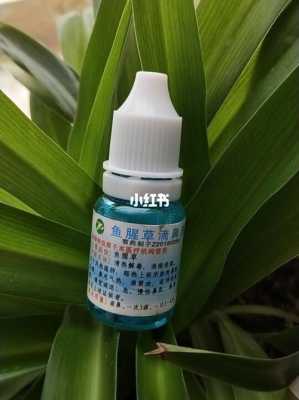 哪里可以买到鱼腥草(哪里可以买到鱼腥草滴鼻液呢)-第1张图片-厨房小当家 哪里可以买到鱼腥草(哪里可以买到鱼腥草滴鼻液呢)-第1张图片-厨房小当家