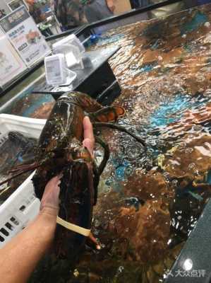 超市波士顿大龙虾哪里产的,在波士顿吃龙虾-第2张图片-厨房小当家