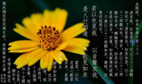 微萨市场怎么样(香花供佛歌词女的唱的)-第1张图片-厨房小当家 微萨市场怎么样(香花供佛歌词女的唱的)-第1张图片-厨房小当家