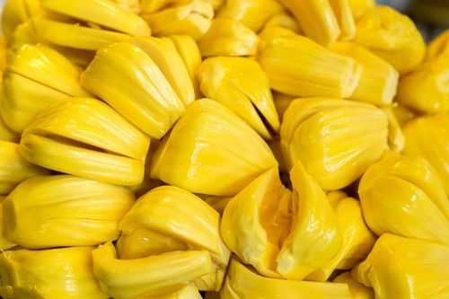 菠萝蜜哪里最好吃(菠萝蜜哪里最好吃最正宗)-第3张图片-厨房小当家 菠萝蜜哪里最好吃(菠萝蜜哪里最好吃最正宗)-第3张图片-厨房小当家