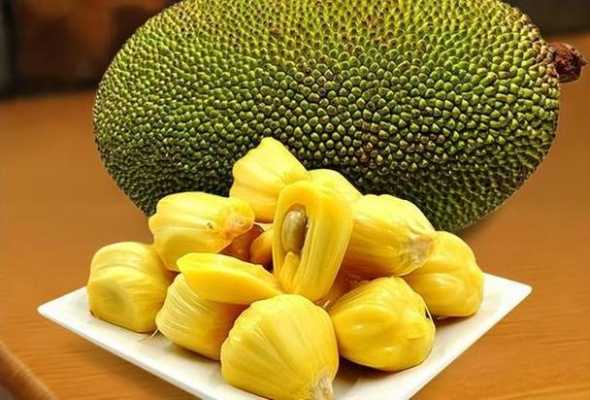 菠萝蜜哪里最好吃(菠萝蜜哪里最好吃最正宗)-第1张图片-厨房小当家 菠萝蜜哪里最好吃(菠萝蜜哪里最好吃最正宗)-第1张图片-厨房小当家