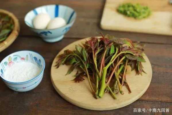 香椿哪里能吃(香椿吃哪个部位)-第2张图片-厨房小当家 香椿哪里能吃(香椿吃哪个部位)-第2张图片-厨房小当家