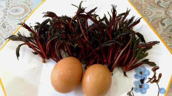 香椿哪里能吃(香椿吃哪个部位)-第1张图片-厨房小当家 香椿哪里能吃(香椿吃哪个部位)-第1张图片-厨房小当家