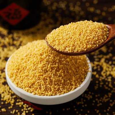 山西哪里的小黄米最好,哪里小黄米好吃-第2张图片-厨房小当家 山西哪里的小黄米最好,哪里小黄米好吃-第2张图片-厨房小当家