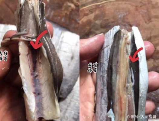 带鱼内脏在哪里(带鱼内脏在哪里可以买到)-第3张图片-厨房小当家 带鱼内脏在哪里(带鱼内脏在哪里可以买到)-第3张图片-厨房小当家