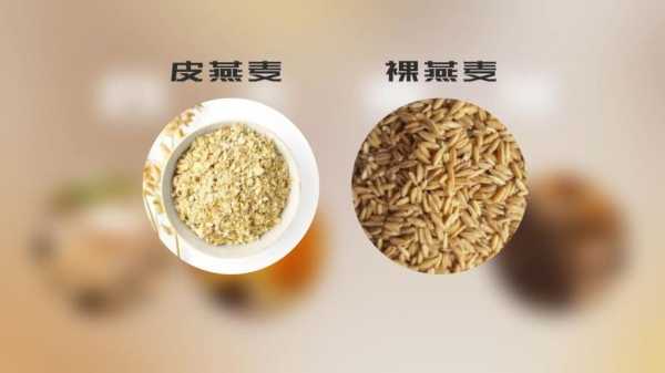 哪里的莜麦好（莜面来自哪里）-第2张图片-厨房小当家