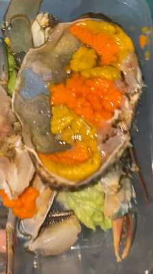 蚶江赶海最佳地点,潮州哪里吃海鲜又便宜又好吃-第1张图片-厨房小当家 蚶江赶海最佳地点,潮州哪里吃海鲜又便宜又好吃-第1张图片-厨房小当家