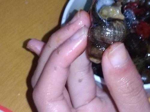 螺蛳的头长什么样,哪里是海螺头部的肉-第3张图片-厨房小当家