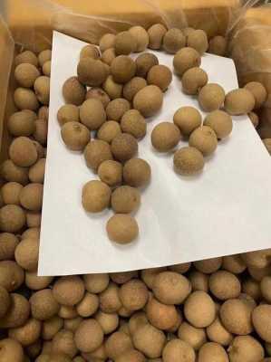 哪里的龙眼好吃(干桂圆哪个地方产的最好)-第3张图片-厨房小当家 哪里的龙眼好吃(干桂圆哪个地方产的最好)-第3张图片-厨房小当家