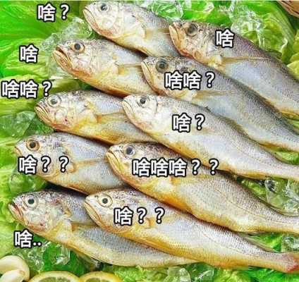 咸鱼哪里的好吃(咸鱼哪里的好吃啊)-第1张图片-厨房小当家 咸鱼哪里的好吃(咸鱼哪里的好吃啊)-第1张图片-厨房小当家