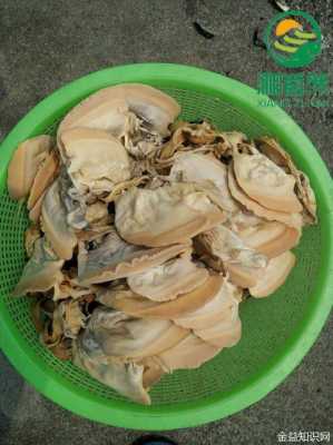 贝壳肉哪几个部位不能吃,贝壳肉哪里能吃哪里不能吃-第3张图片-厨房小当家 贝壳肉哪几个部位不能吃,贝壳肉哪里能吃哪里不能吃-第3张图片-厨房小当家
