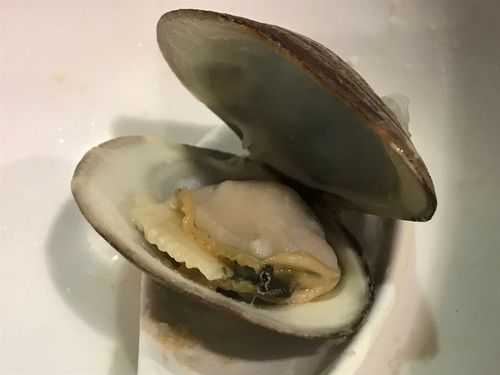 贝壳肉哪几个部位不能吃,贝壳肉哪里能吃哪里不能吃-第2张图片-厨房小当家 贝壳肉哪几个部位不能吃,贝壳肉哪里能吃哪里不能吃-第2张图片-厨房小当家