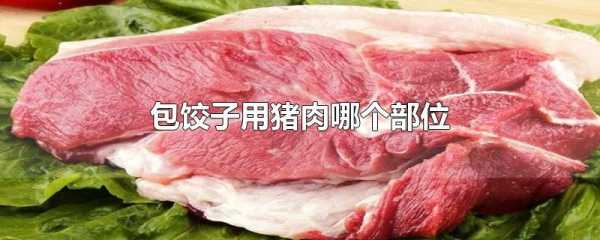 哪个部位的猪肉适合包饺子,哪里肉适合包饺子吃-第2张图片-厨房小当家 哪个部位的猪肉适合包饺子,哪里肉适合包饺子吃-第2张图片-厨房小当家
