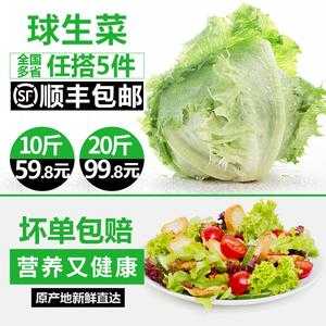 上海哪里有卖球生菜(圆生菜)的,圆生菜哪里可以买到-第1张图片-厨房小当家 上海哪里有卖球生菜(圆生菜)的,圆生菜哪里可以买到-第1张图片-厨房小当家
