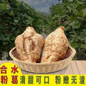生葛根怎么处理,新鲜葛根哪里有卖的-第3张图片-厨房小当家 生葛根怎么处理,新鲜葛根哪里有卖的-第3张图片-厨房小当家